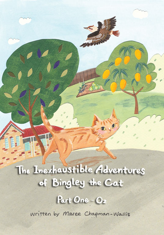 Bingley the cat